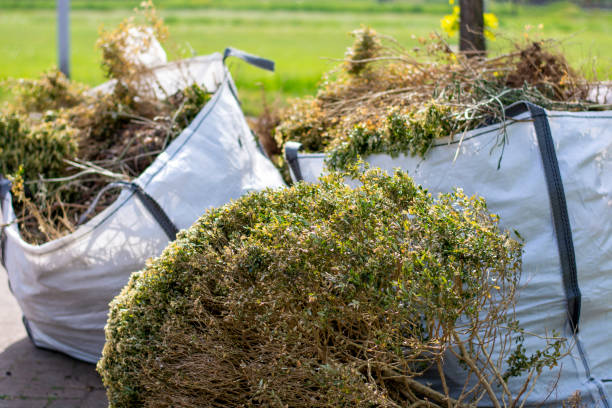 Best Construction Debris Removal  in Blue Springs, MO